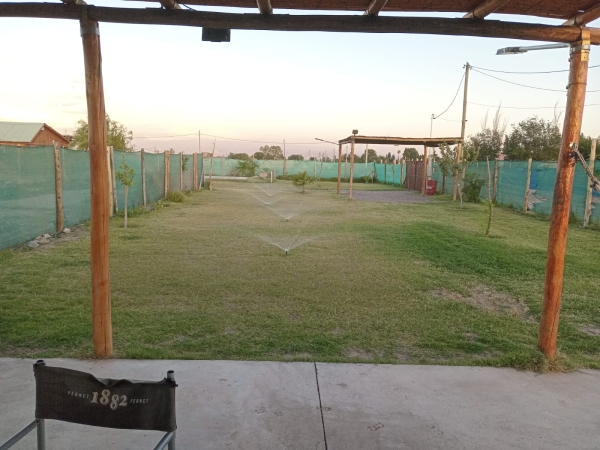 WhatsApp Image 2024-08-14 at 12.57.45.jpeg